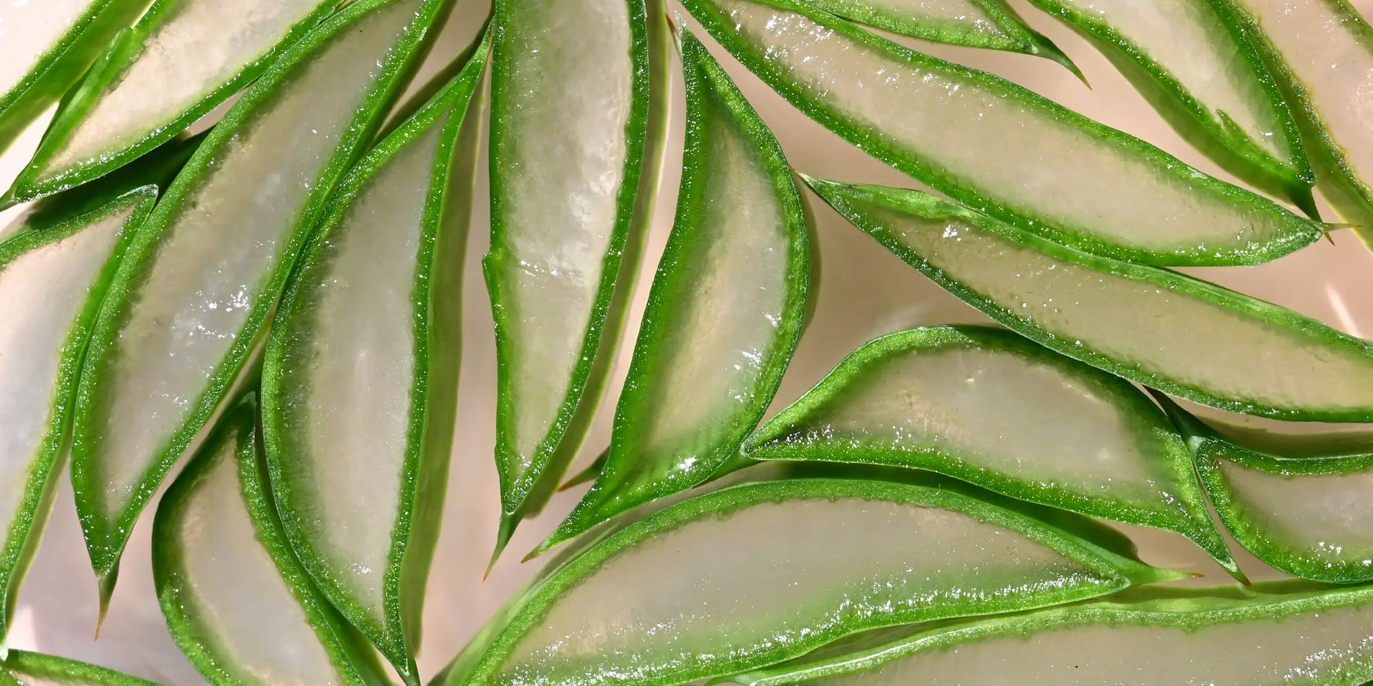 The benefits of aloe vera for skin health and beauty
